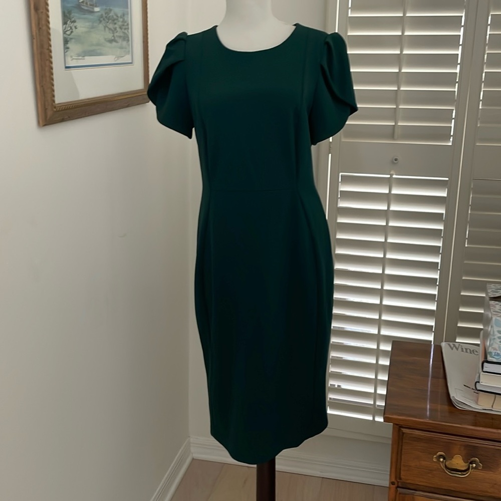 Forest green Calvin Klein Juliet short sleeve dress.